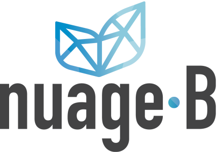 Nuage-B_Logo